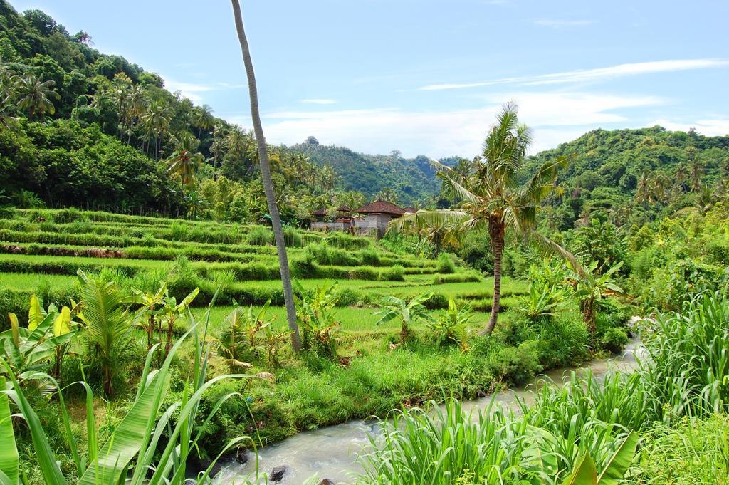 Indo Rumah Zengarden 불레렝 외부 사진
