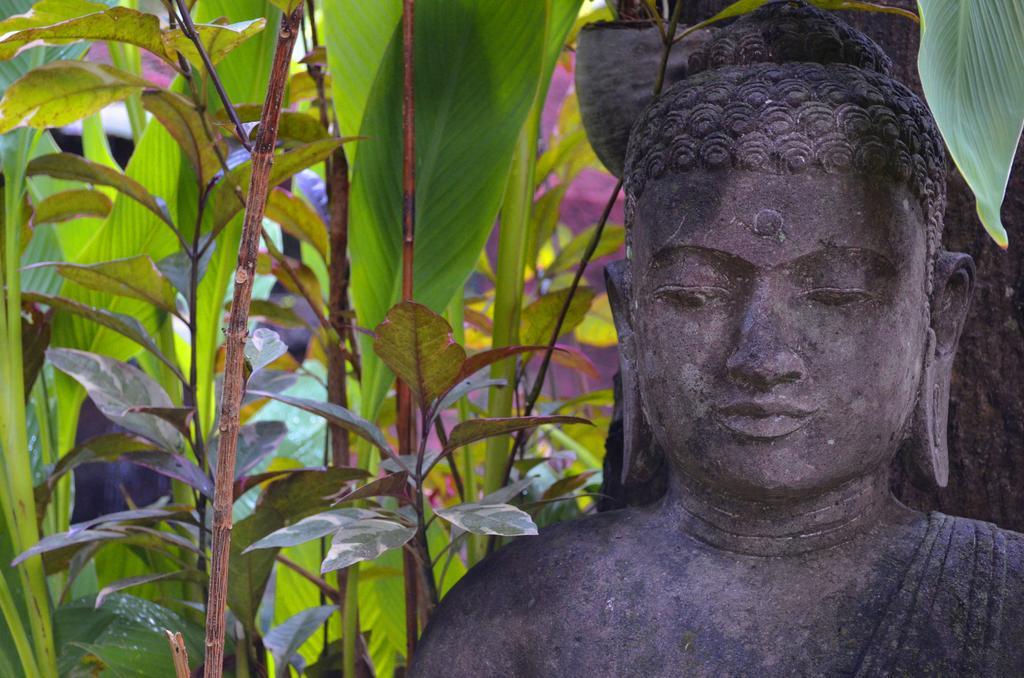 Indo Rumah Zengarden 불레렝 외부 사진