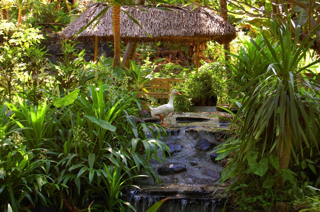 Indo Rumah Zengarden 불레렝 외부 사진